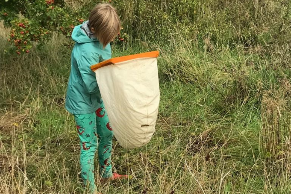 Photo of a person with a bug hunting net