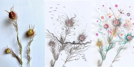 triptych of pictures of plants in different artistic styles from a Monica Shanta Workshop 
