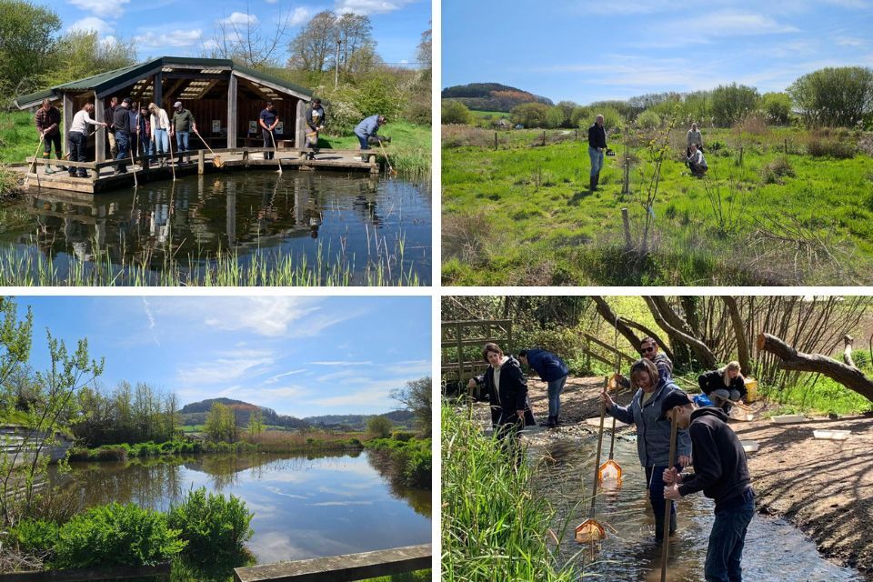 Collage of photos from a team day at Seaton Wetlands