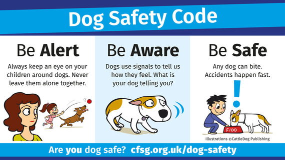 Dog Safety Code - Be alert, be safe, be aware