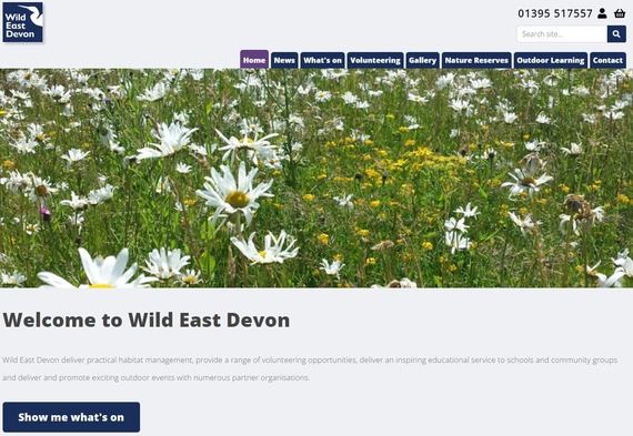 screenshot image of Wild East Devon home page on website 