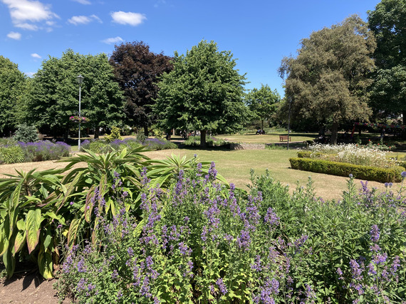 Photo of flower beds, lawns and trees at Manor Gardens