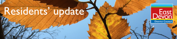 Golden Autumnal leaves hanging in a blue sky