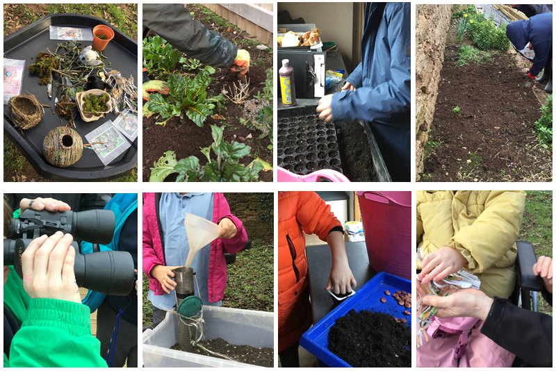 A collage of photos displaying the pupils of Mill Water school gardening 