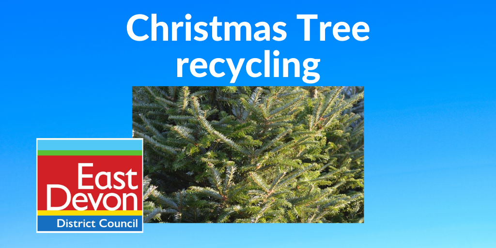 Christmas tree recycling banner 