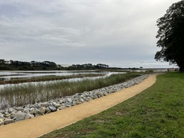 View of the new path alongside the Otter estuary
