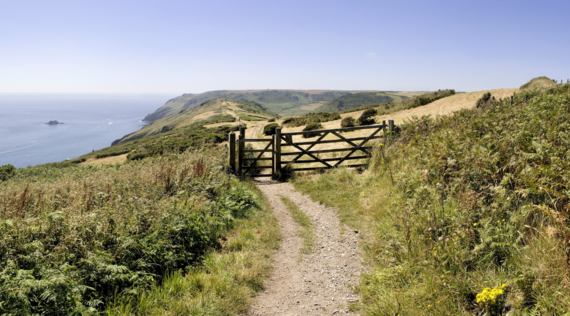 East devon landscape of sea and fields 