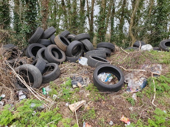 Photo of a fly-tip in East Devon, with a pile of tyres