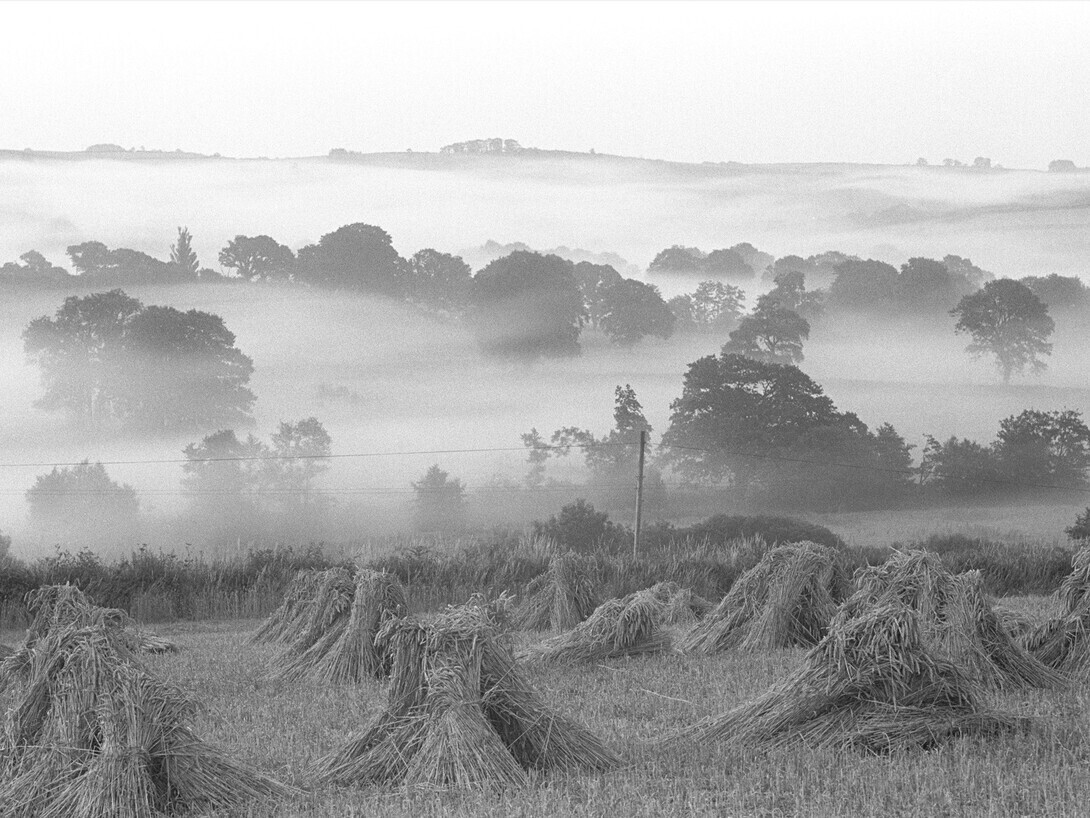 James Ravilious, Early Morning Mist on the River Taw, courtesy of the Beaford.