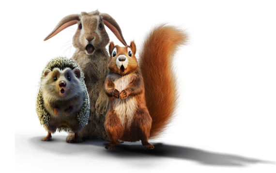 A hedgehog, a rabbit and a squirrel looking shocked