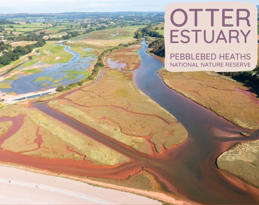 Lower Otter Estuary