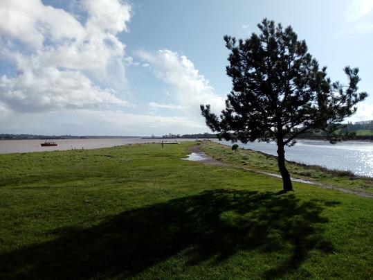 Estuary view