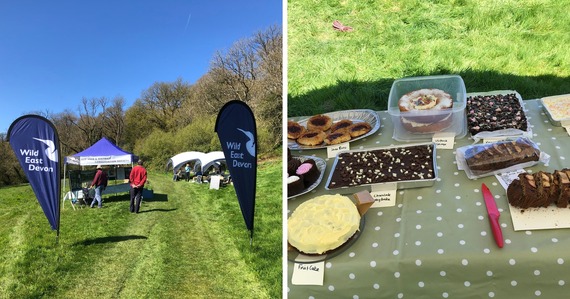 Photos of stalls and cakes at Wild East Devon's Holyford Woods Bluebell event