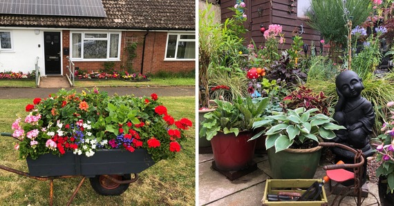 Photos of flowers in a wheelbarrow and pots of plants on a patio