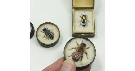 3 needle felted bees in containers by Lydia Needle