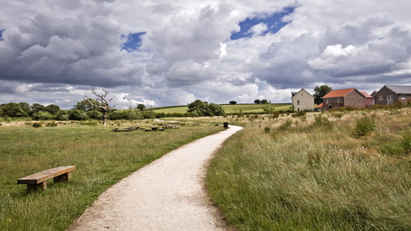 cranbrook path