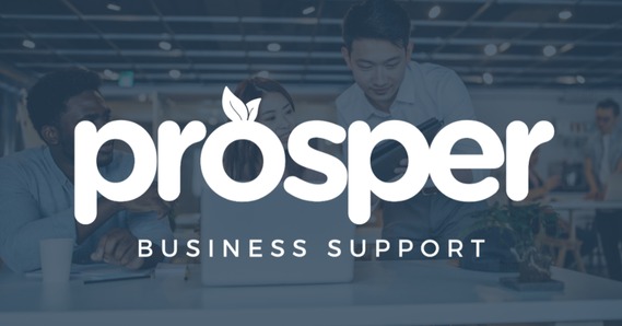 Prosper Business Support. Three people looking at a screen