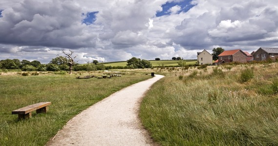 Pathway through Cranbrook country park
