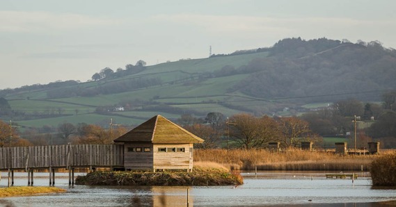 Seaton Wetlands hide with hills in the background