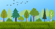 Illustrated long grass, a row of different types of trees  and birds in the sky