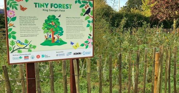 Exmouth Tiny Forest, with an information signpost in front