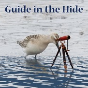 Guide in the hide. A bird looks through a telescope