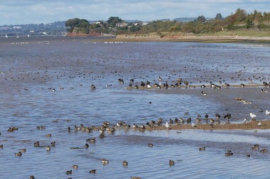 view from mudbank