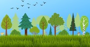 illustrated long grass and a line of different trees