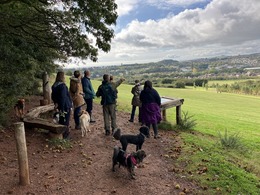 Group of dog walkers at Dawlish Countryside Park