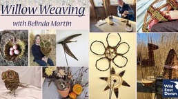 Willow weaving with Belinda Martin. Collage of examples of willow sculptures