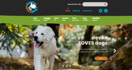 Image of home page of website