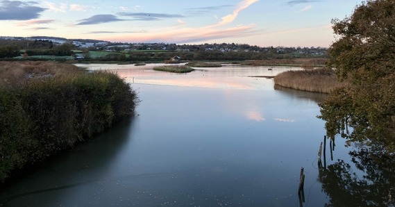Seaton Wetlands