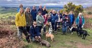 Dog walkers enjoy a waggy walk with Devon Loves Dogs