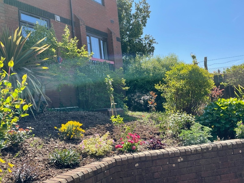 Green plants outside a block of flats
