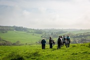 A group of walkers gathered in a grassy field, with Cannington Viaduct in the distance