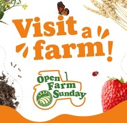 Visit a Farm. Open Farm Sunday. Butterfly and crop imagery