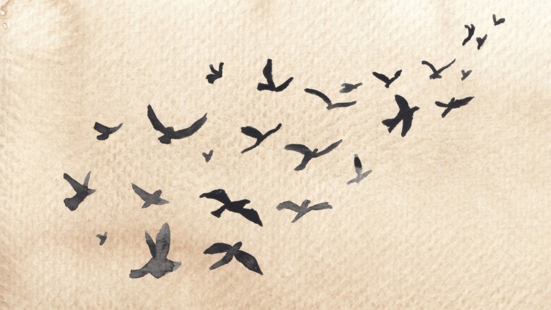 Watercolour of black birds flying