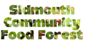 Sidmouth community food forest text with plants in the letters