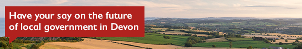 Have your say on the future of local government in Devon