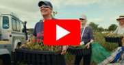 Preview of YouTube video, with play icon. Three people are holding pots of plants