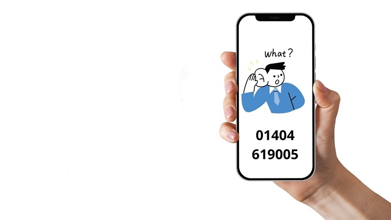 A person holding up a smartphone