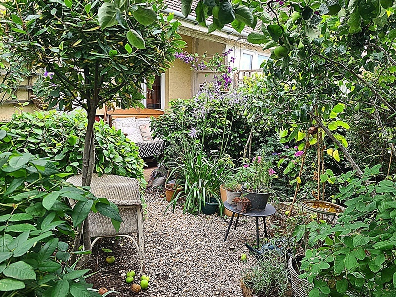 Garden with green plants and seating