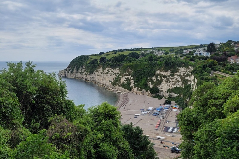 Coastline with beach and green cliffs