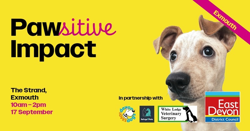 Pawsitive Impact The Strand Exmouth 10am-2pm 17 September