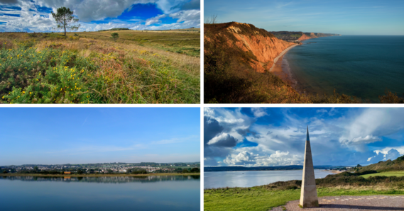 Woodbury Common. View of Sidmouth from the cliffs. Seaton Wetlands, with tram in the distance. Orcombe Point