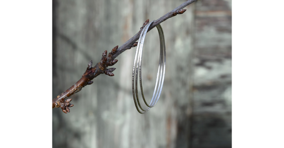 Three metal bangles hanging off a branch