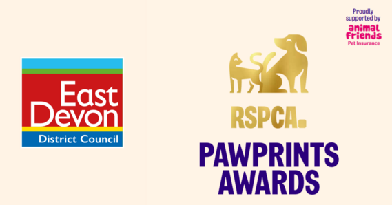 RSPCA Pawprints Awards. Gold cat and dog. Proudly supported by Animal Friends Pet Insurance. East Devon District Council logo