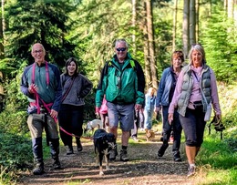 Waggy Walk group walking in Core Copse Woodland