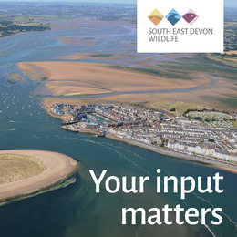 "Your Input Matters" estuary image