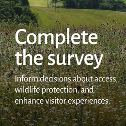 "Complete Our Survey" SEDW graphic